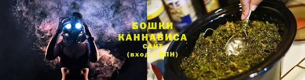 стаф Зеленокумск