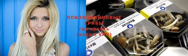 ALPHA PVP Зерноград