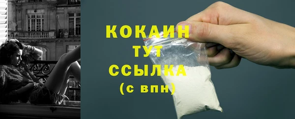 стаф Зеленокумск