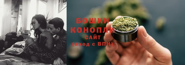 стаф Зеленокумск