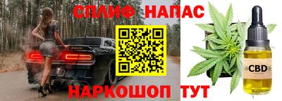 твердый Бийск