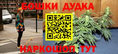 твердый Бийск