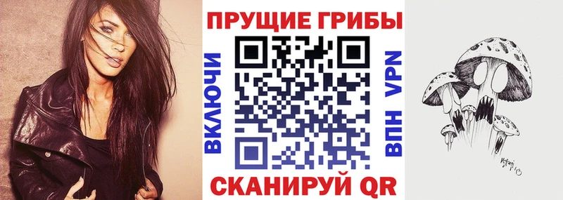 Галлюциногенные грибы Psilocybe Каменка