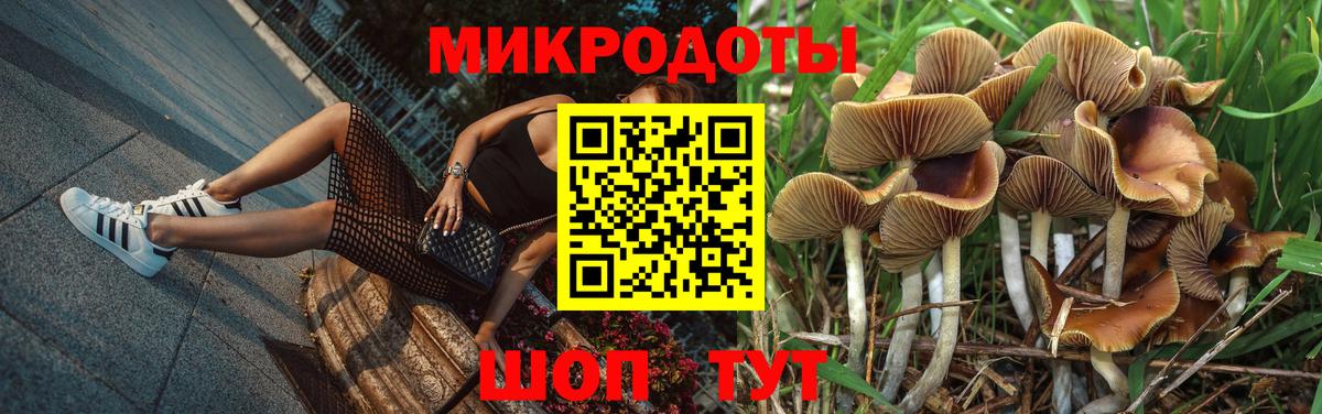Псилоцибиновые грибы Magic Shrooms Каменка